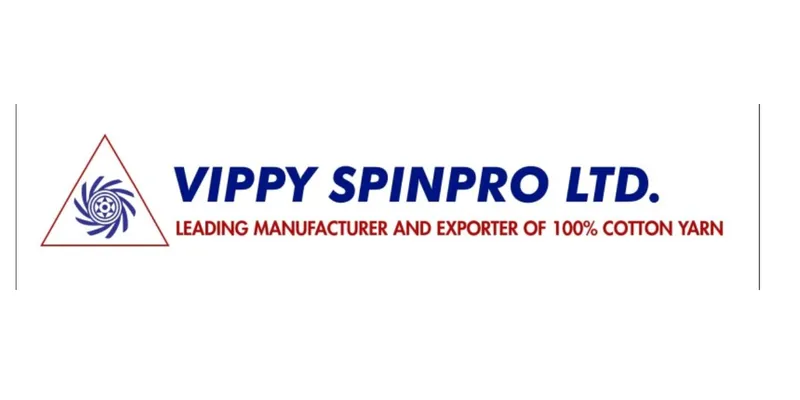  “Analysing the Financial Report of VIPPY SPINPRO LTD.”